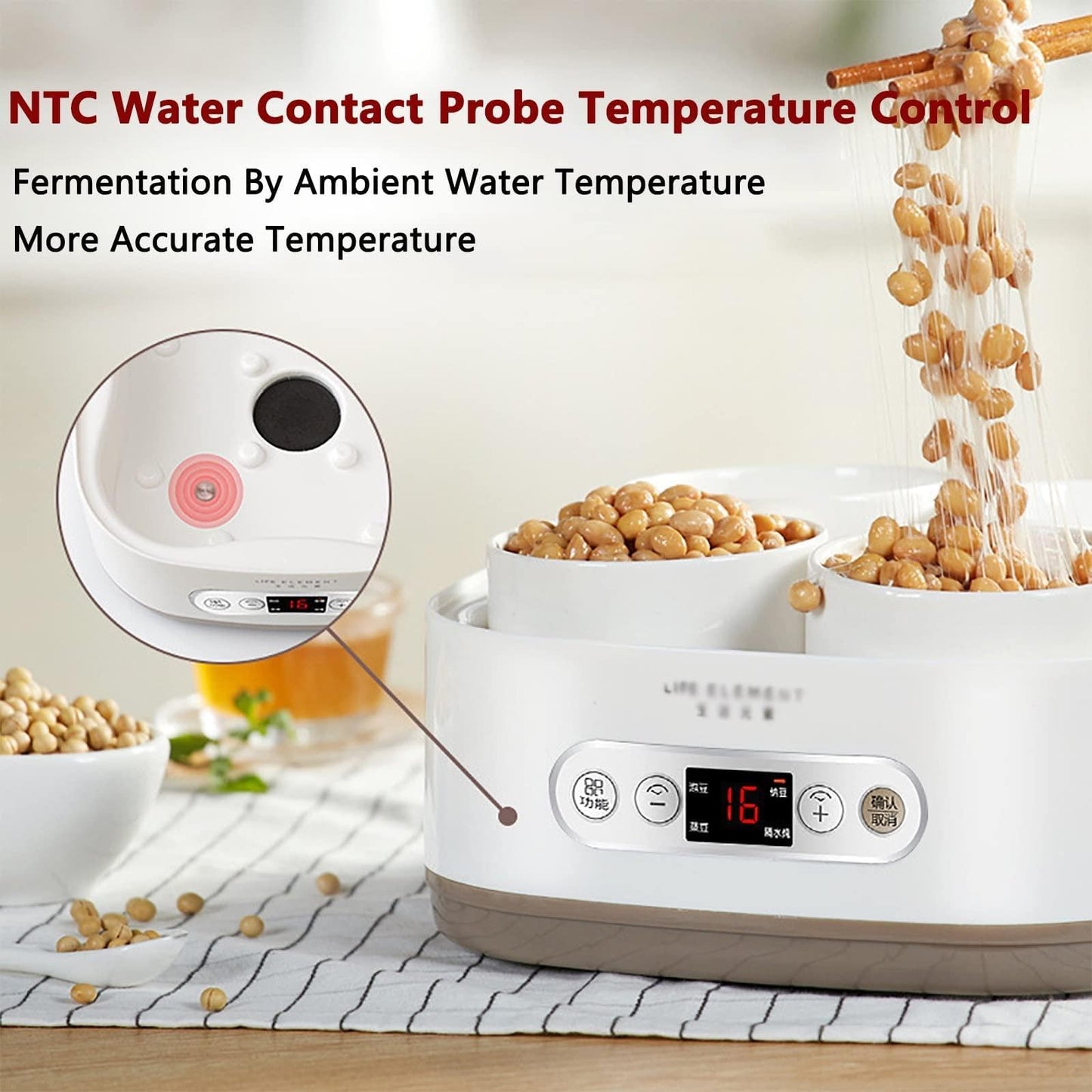 Fermentador Eléctrico 2 L – Control de Temperatura, Panel Inteligente